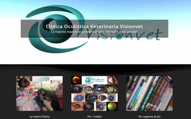 Visionvet